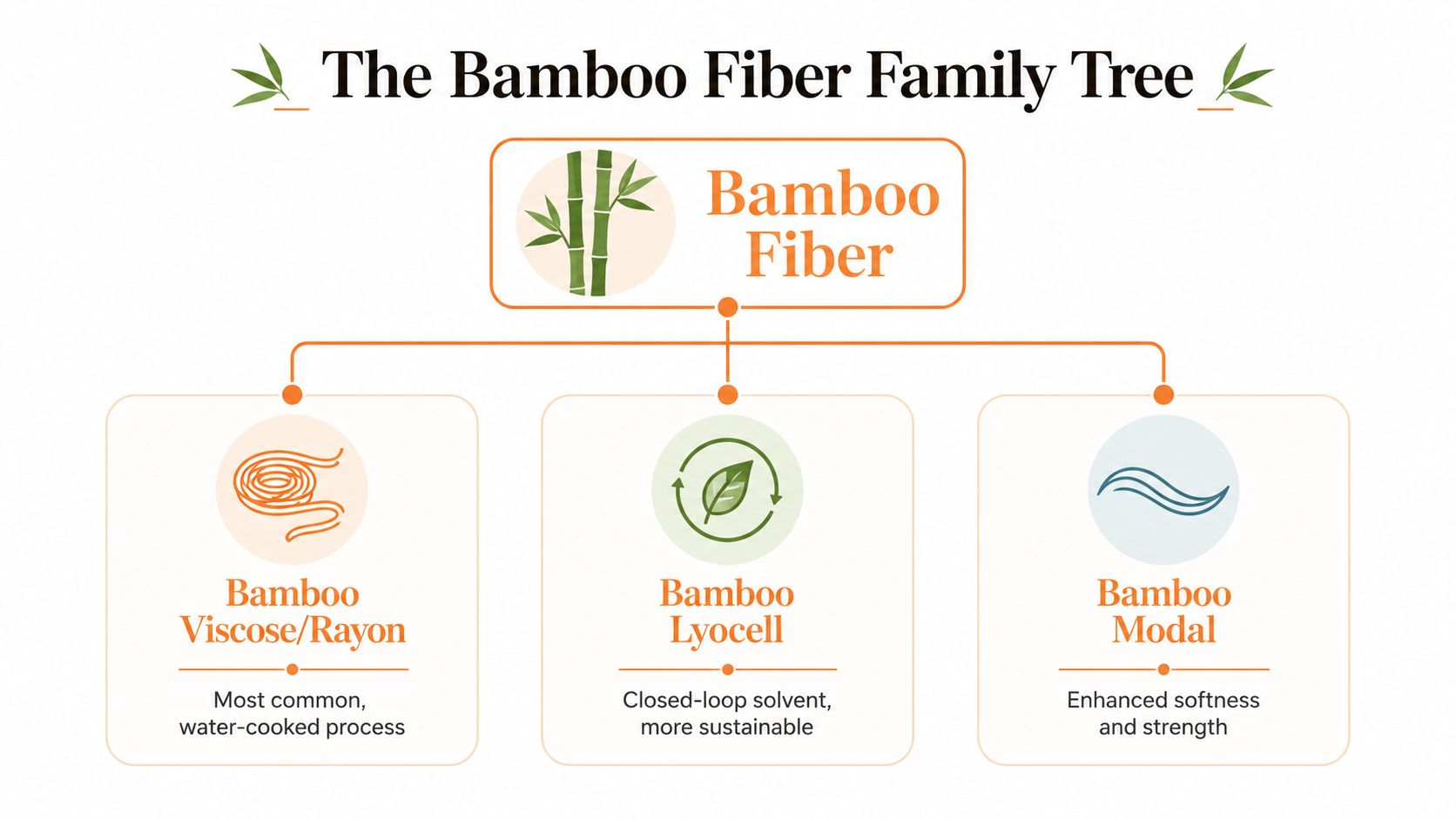 A diagram illustrating the bamboo fiber family tree, showing bamboo viscose, lyocell, and modal production methods.