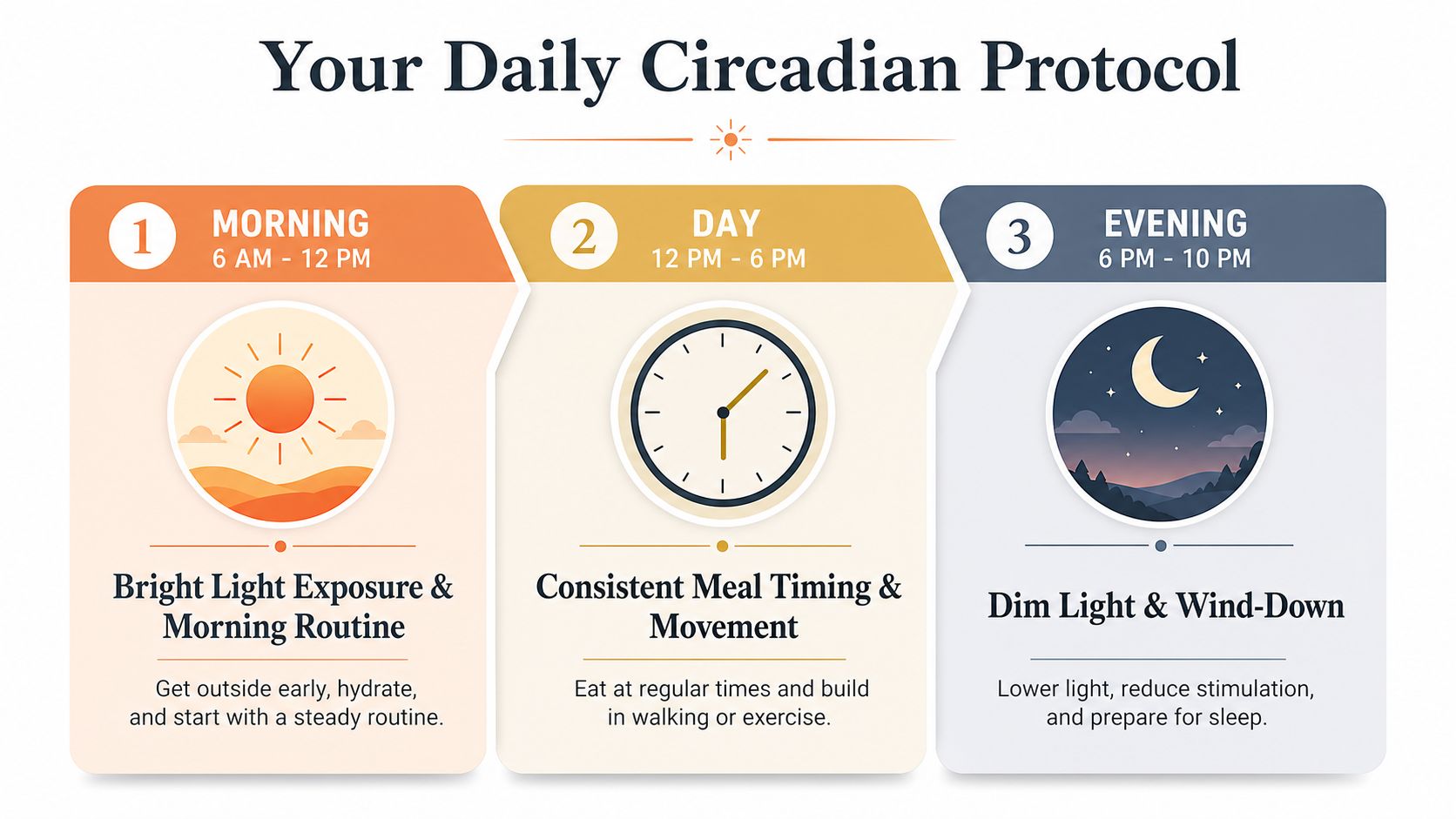A visual guide outlining a daily circadian protocol with morning, day, and evening health routines.
